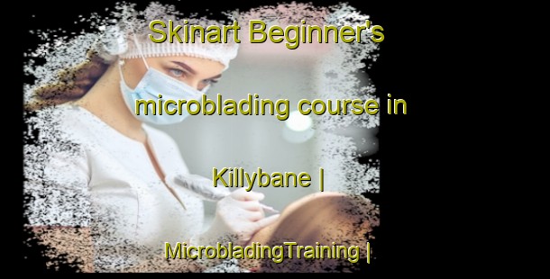 Skinart Beginner's microblading course in Killybane | MicrobladingTraining | MicrobladingClasses | SkinartTraining-United Kingdom